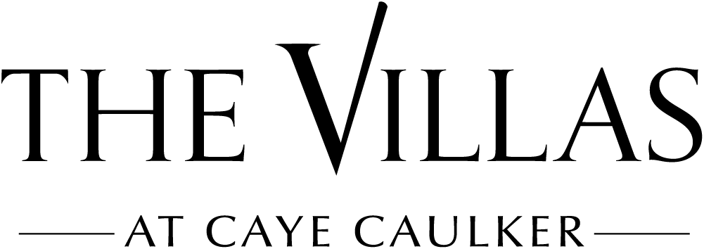 the villas logo